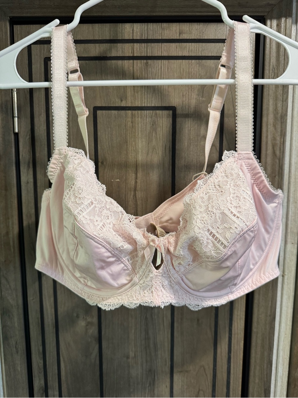 DORINA Celine Lace-Trim Underwire Bra in Light Pink